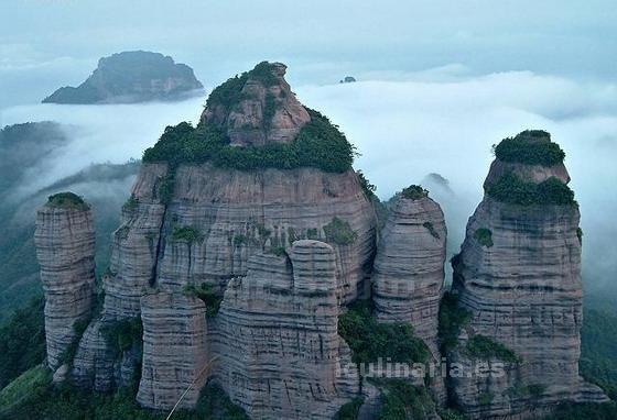 Guangdong, China | Innova Culinaria